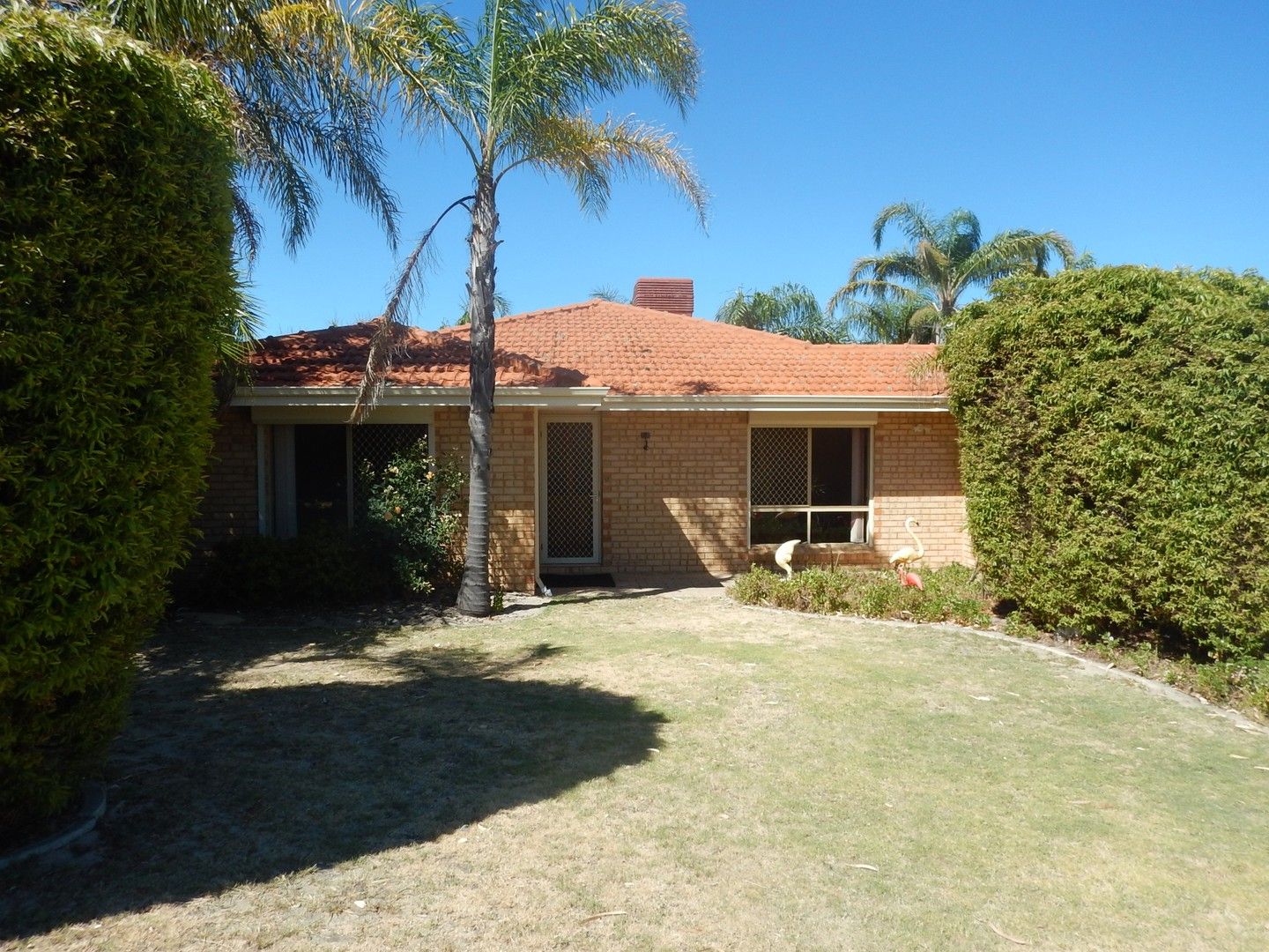 4 bedrooms House in 159 Chamberlain Street GOSNELLS WA, 6110