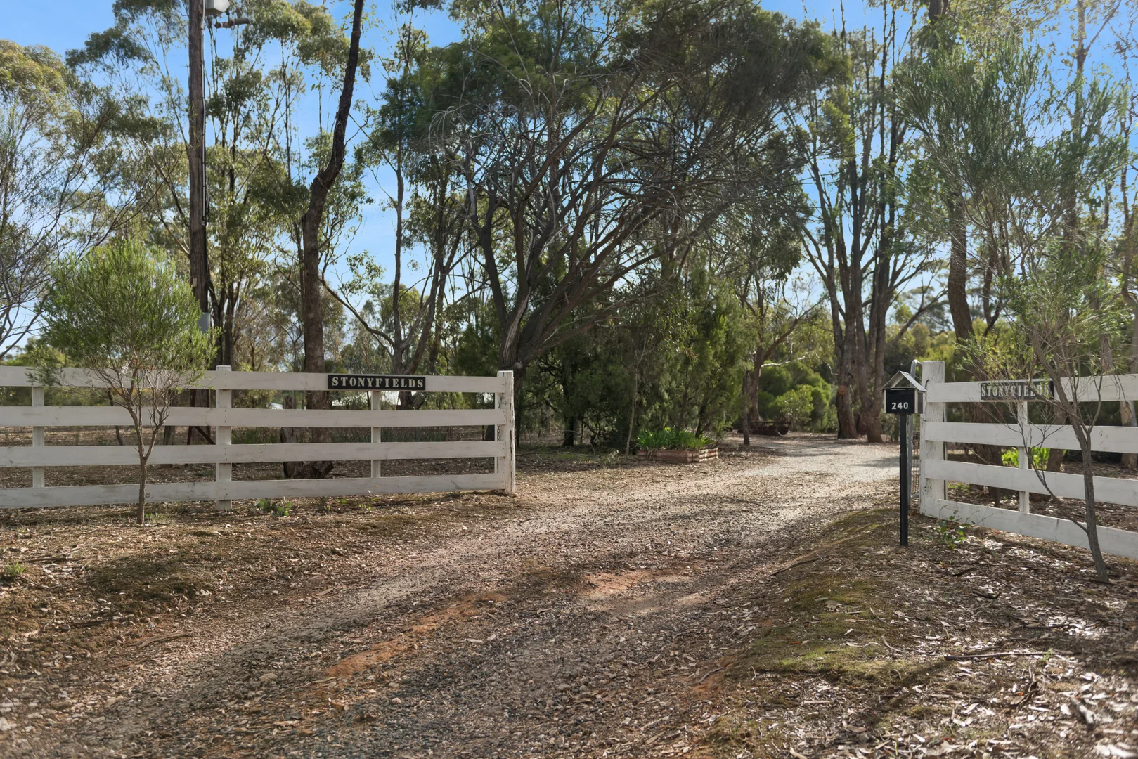 Image 18