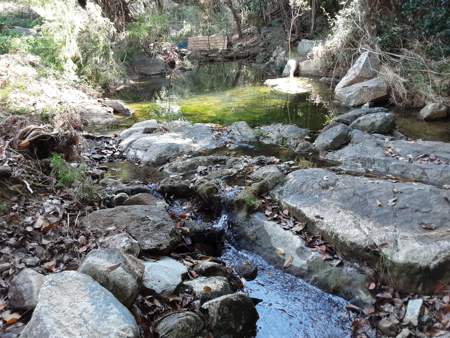Image 14