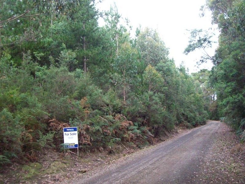 Chilcotts Road, Sprent TAS 7315, Image 0