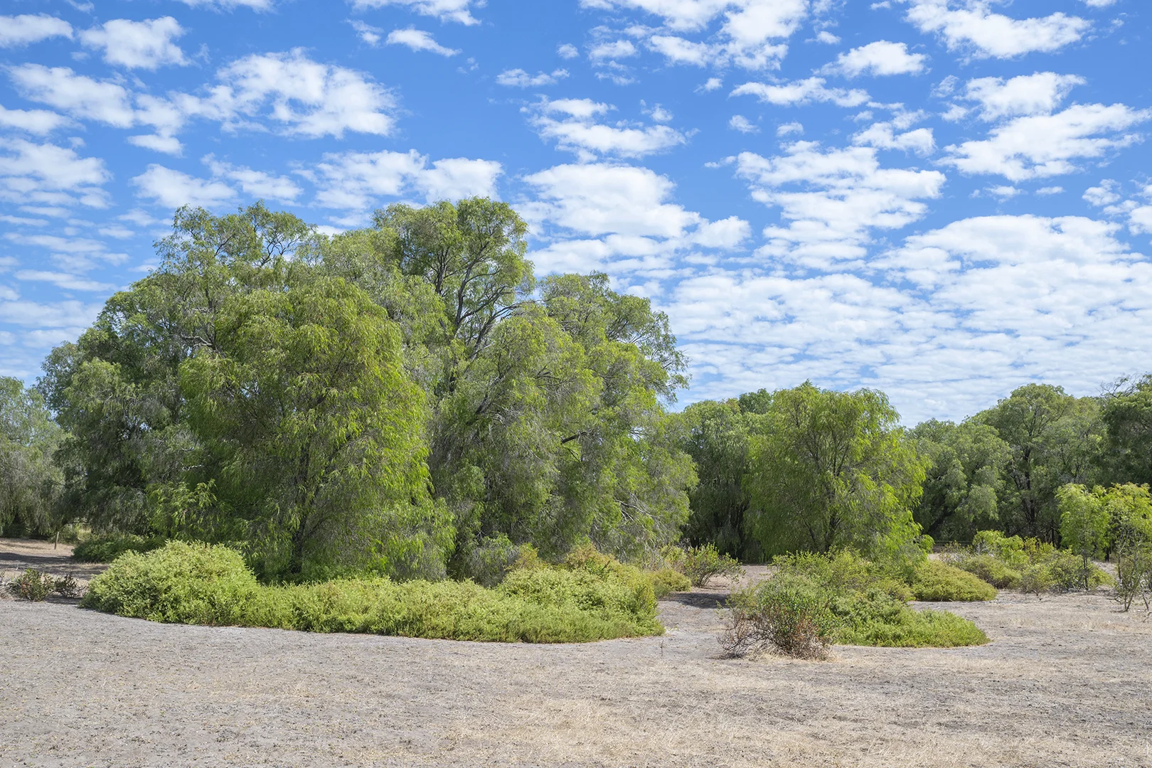 Additional image 7 of Lot 58 Caves Road, Kealy WA 6280