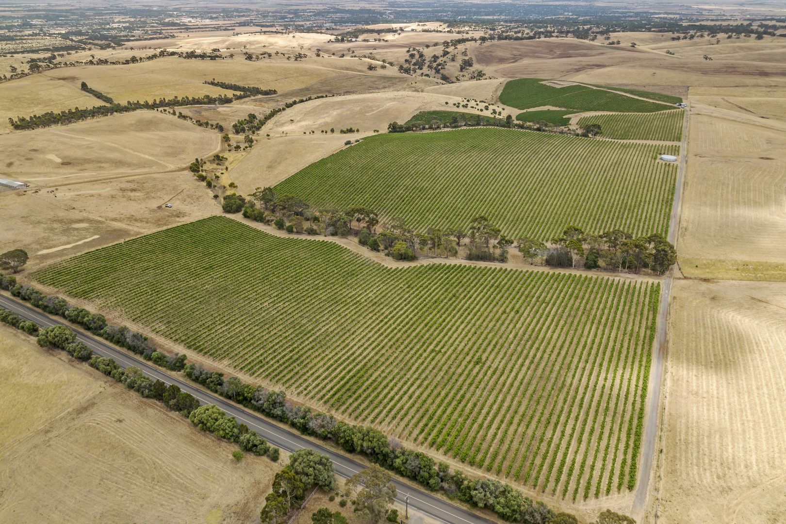 'Trimbolis' Medlow Road, Uleybury SA 5114, Image 2