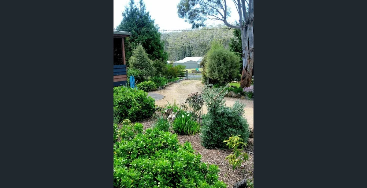 Image 15