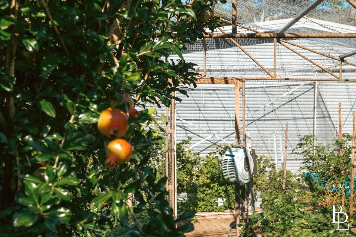 Additional image 41 of Wattamolla NSW 2535