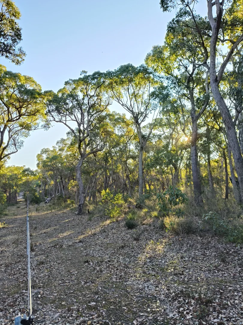 Image 7