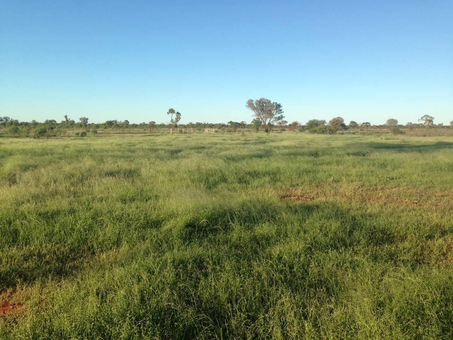 Cunnamulla QLD 4490, Image 1