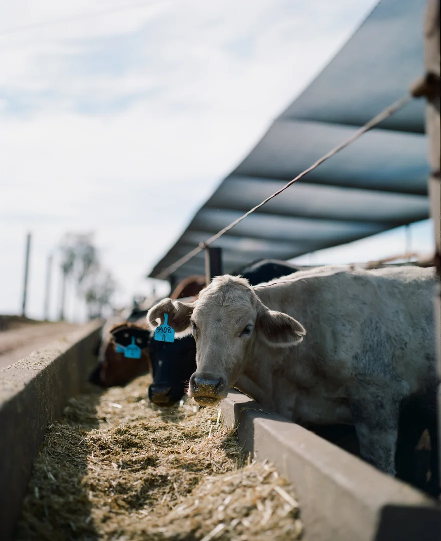 Additional image 13 of Proston QLD 4613