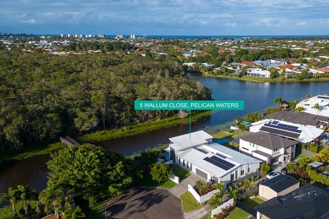 Picture of 5 Wallum Close, PELICAN WATERS QLD 4551
