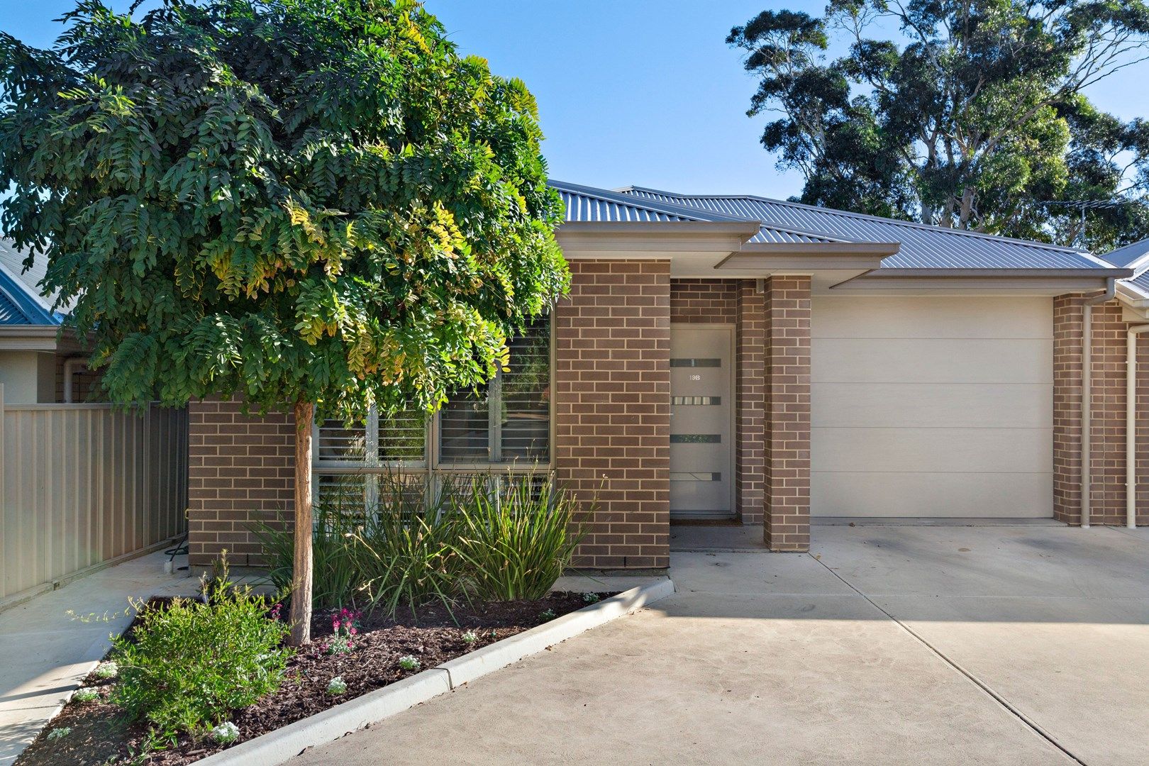 19b Thistle Avenue, Klemzig SA 5087, Image 0