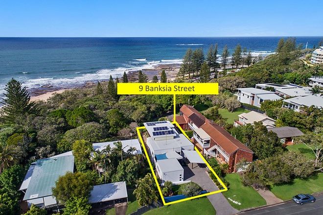 Picture of 9 Banksia Street, SHELLY BEACH QLD 4551