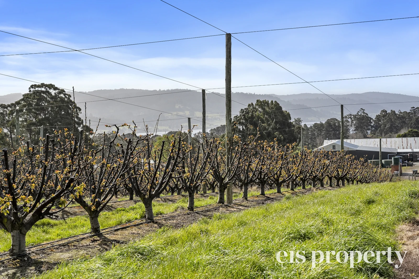 Additional image 13 of 627 Silver Hill Road, Lower Wattle Grove TAS 7109