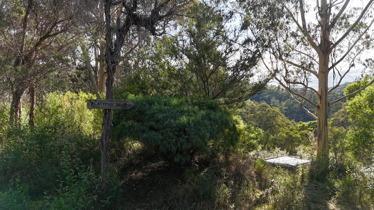 Image 11