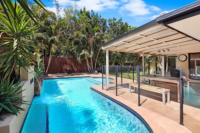 Picture of 7 Satinash Place, MUDJIMBA QLD 4564