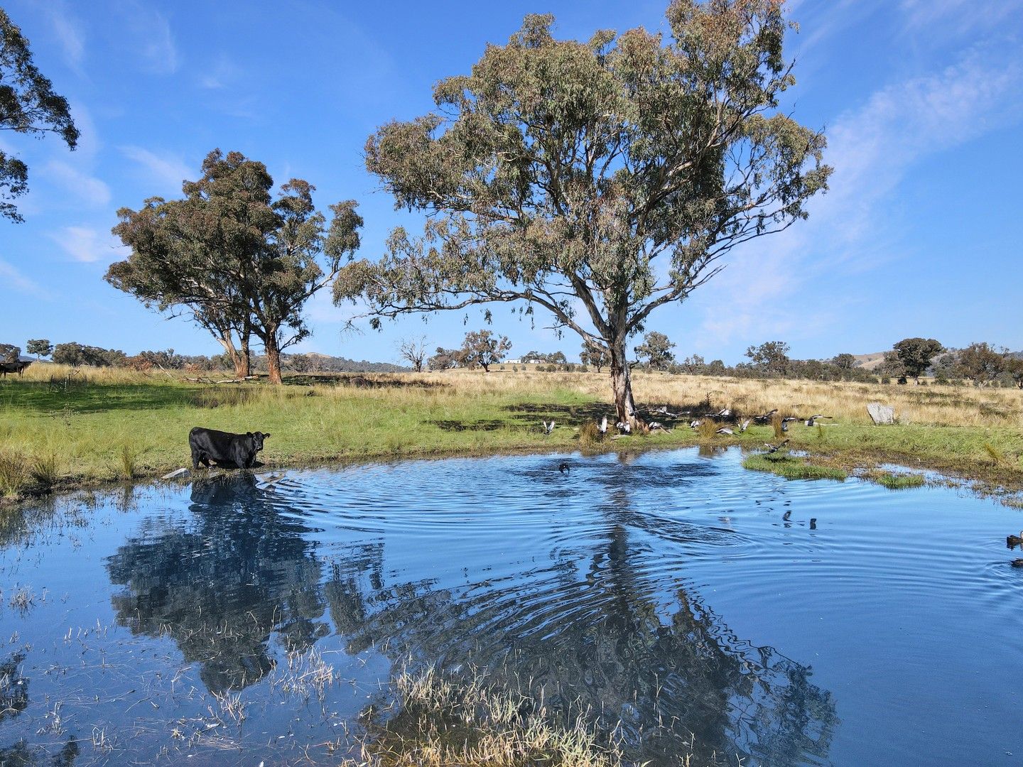 2527 Sofala Road, Wiagdon NSW 2795, Image 0