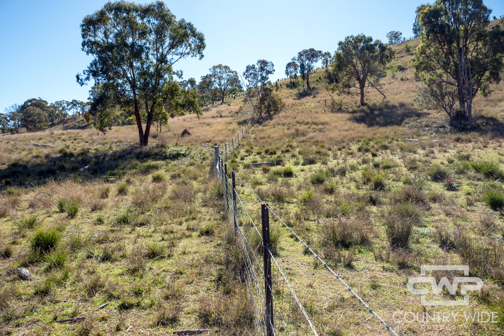 Image 14