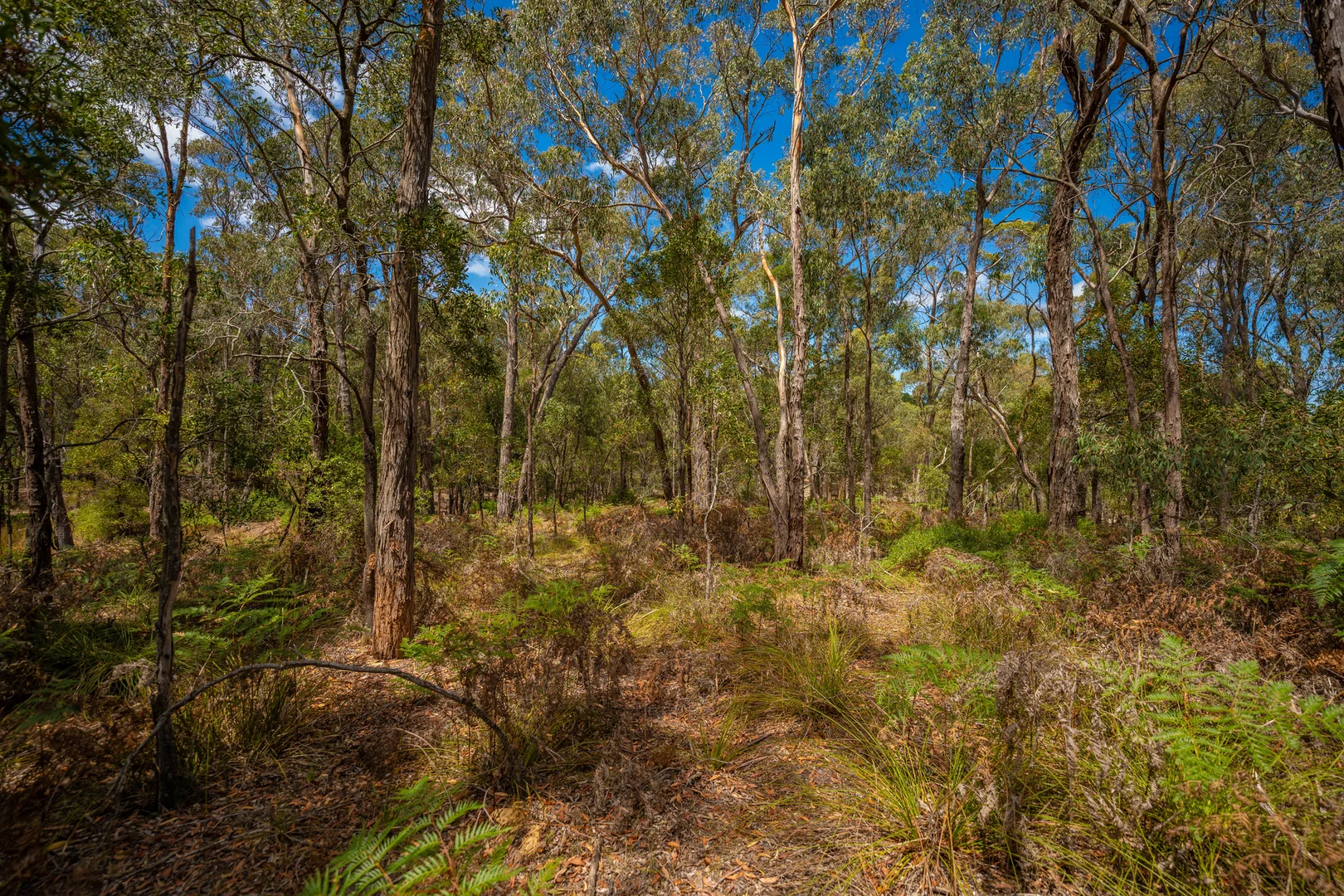 Image 12