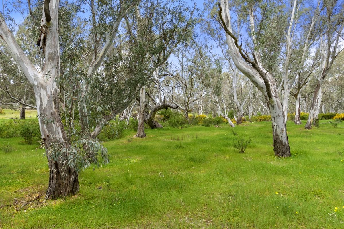 18 West Eads Road, Evansford VIC 3371, Image 2