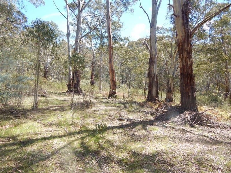 Lot 63 64 & 65 Kennedy's Road, Yaouk NSW 2629, Image 0