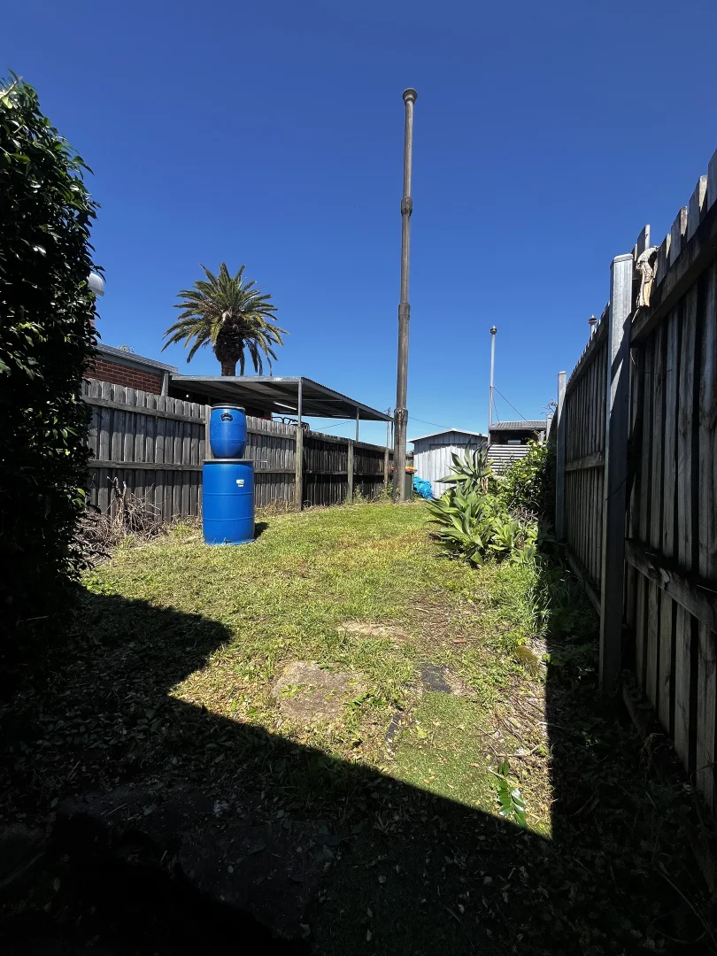 Image 10