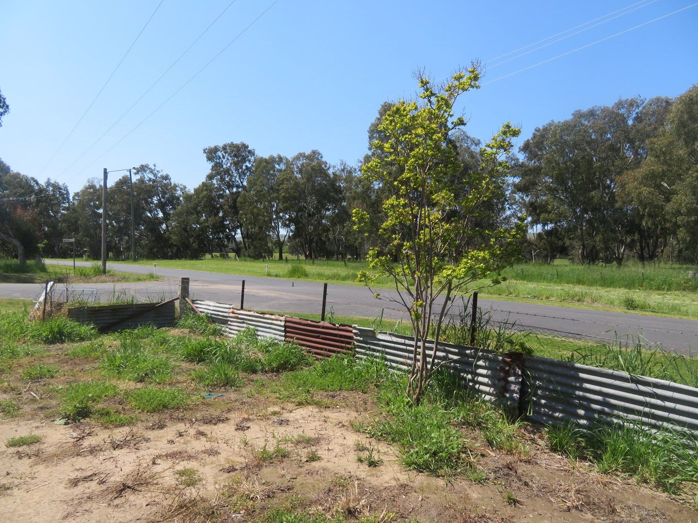 Lot 1 Pope Street, Gundagai NSW 2722, Image 1