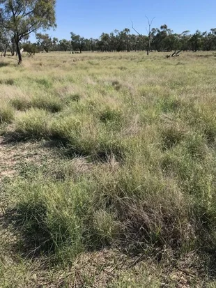 Image 18
