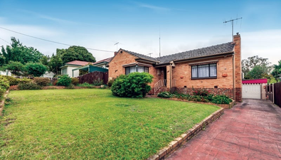 Picture of 11 Jellicoe Street, BOX HILL SOUTH VIC 3128