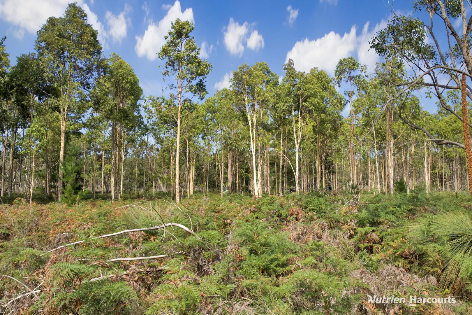 Additional image 20 of Lot 3 Patchings Road, Lake Mundi VIC 3312