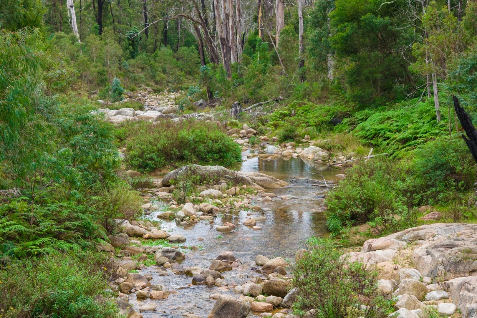Image 36