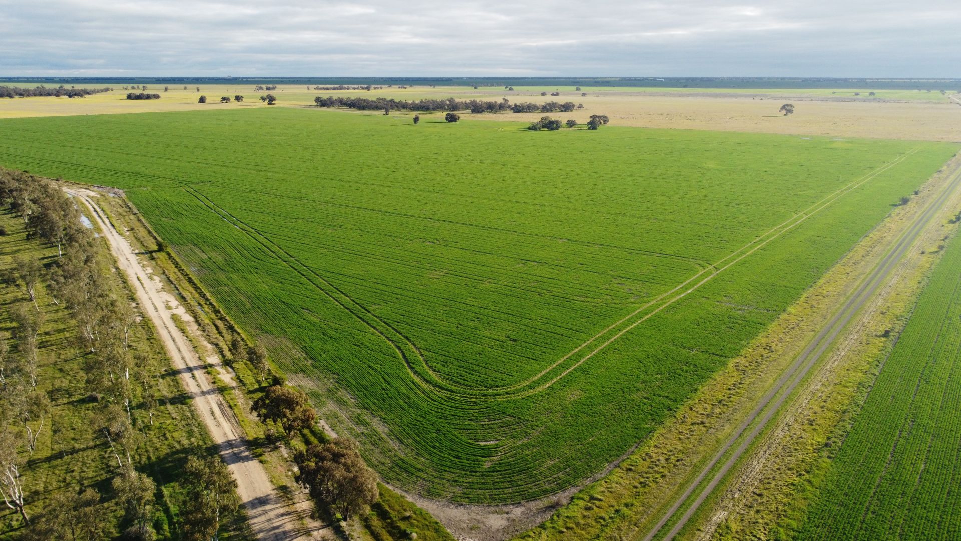 Single Tree Road, Massey VIC 3482, Image 2