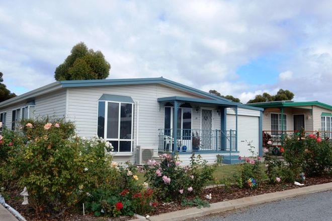 Picture of 19 Rose Court Highview Holiday Village, ARDROSSAN SA 5571