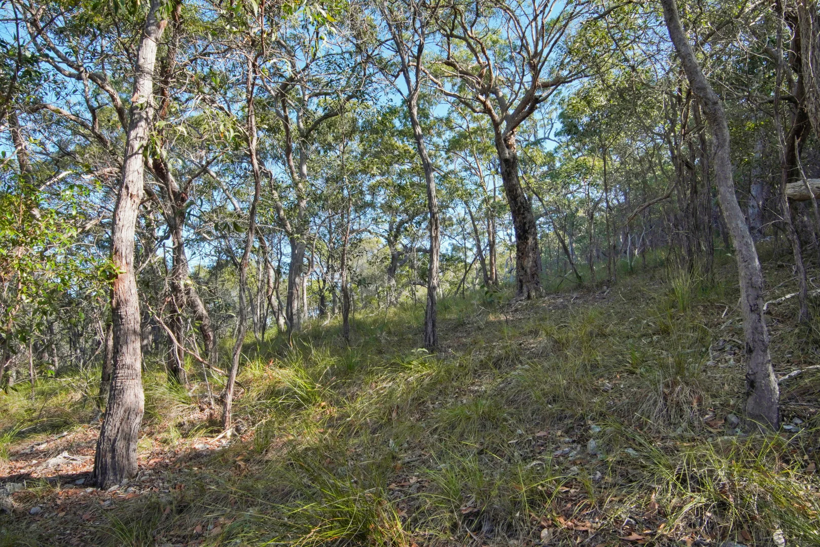 Image 7
