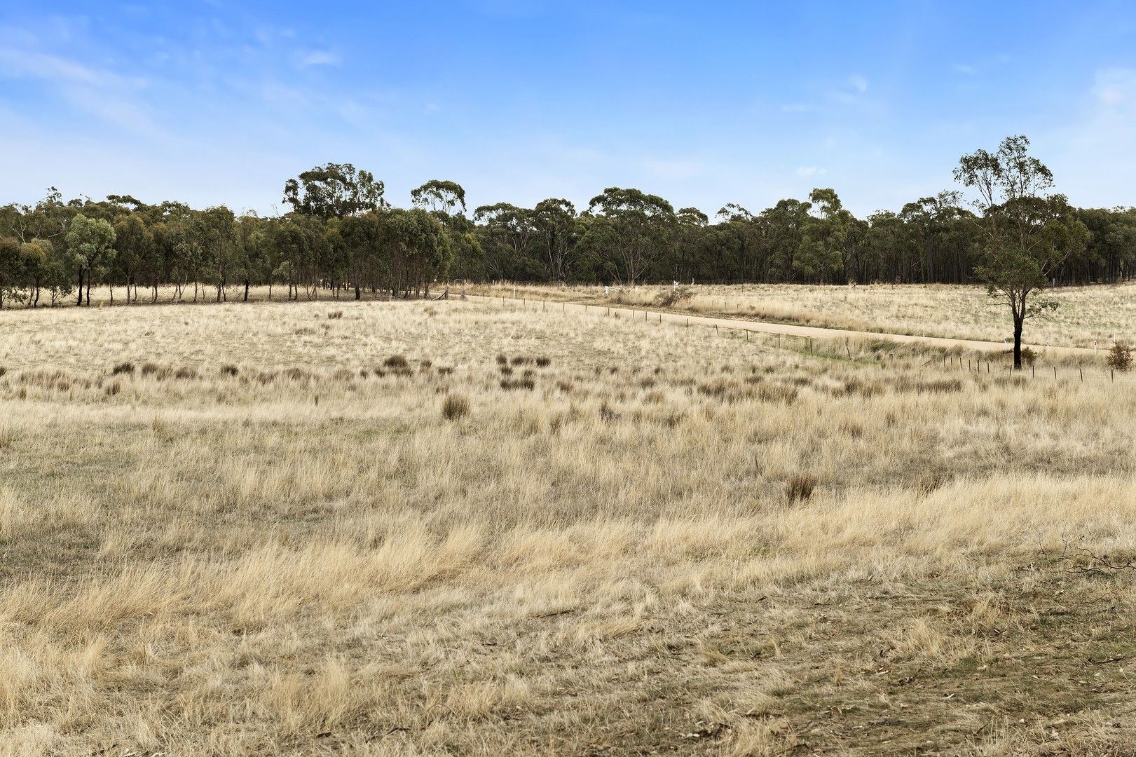 550 Dairy Flat Road, Heathcote VIC 3523 Domain