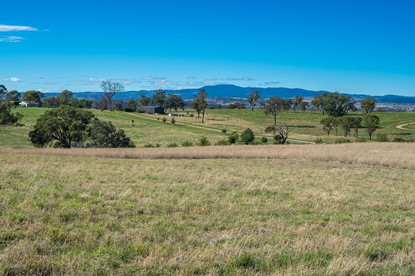 614 Peabody Road, Molong NSW 2866