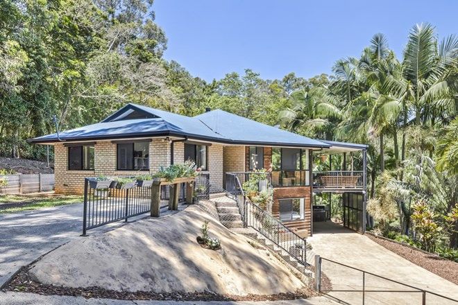 Picture of 386 Kiel Mountain Road, KIELS MOUNTAIN QLD 4559