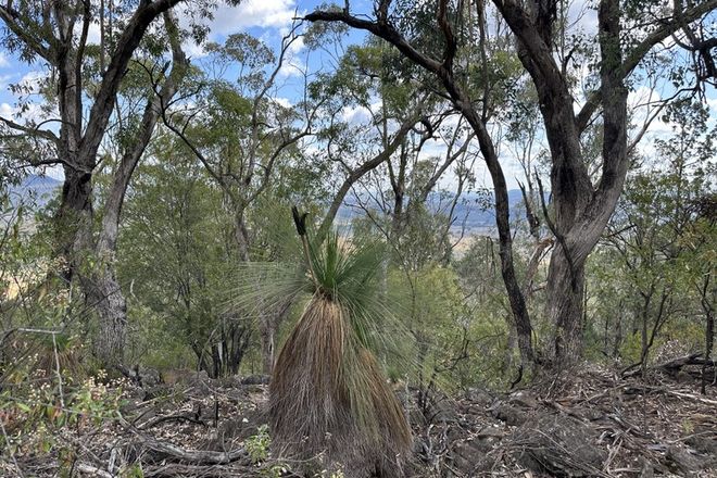 Picture of "Mountain View", BERRIGAL NSW 2390