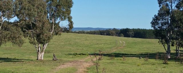 Red Hills Road, Marulan NSW 2579, Image 2