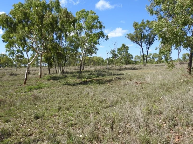 Image 36