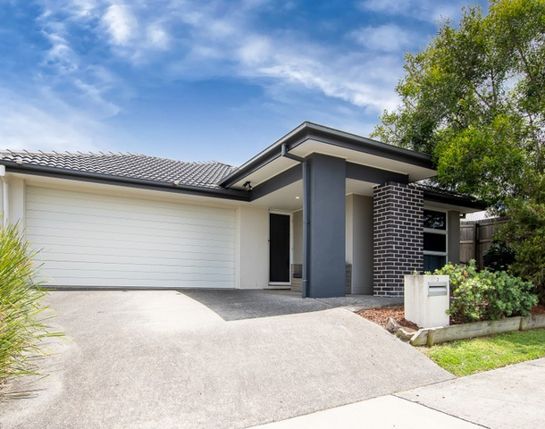 3 Grindelia Drive, Springfield Lakes QLD 4300