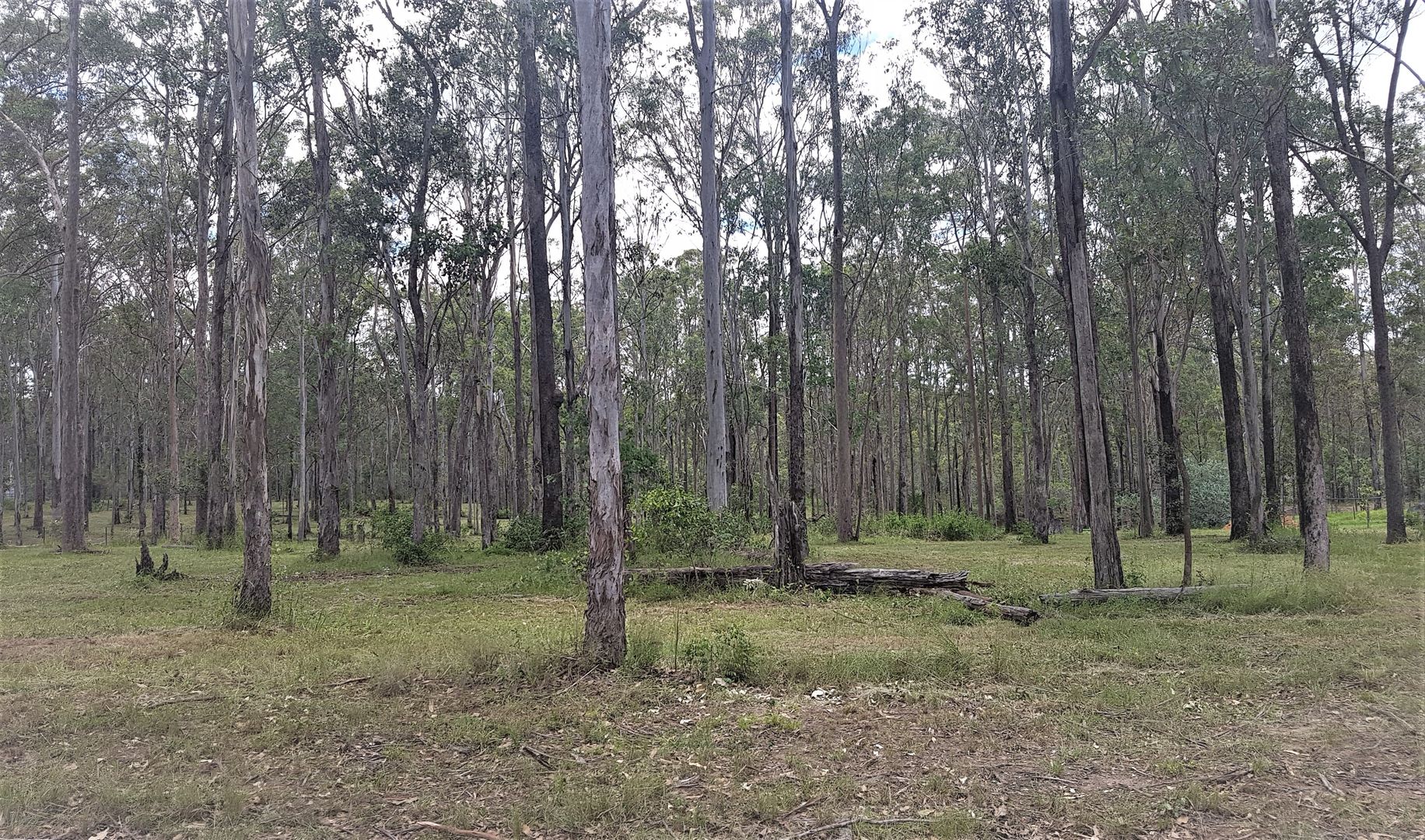 Lot 111 Arbornine Road, Glenwood QLD 4570 Land for Sale Domain