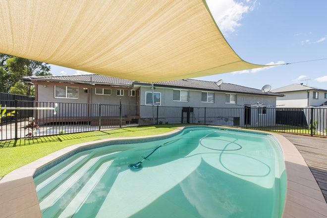 Picture of 31 Allsopp Drive, CAMBRIDGE GARDENS NSW 2747