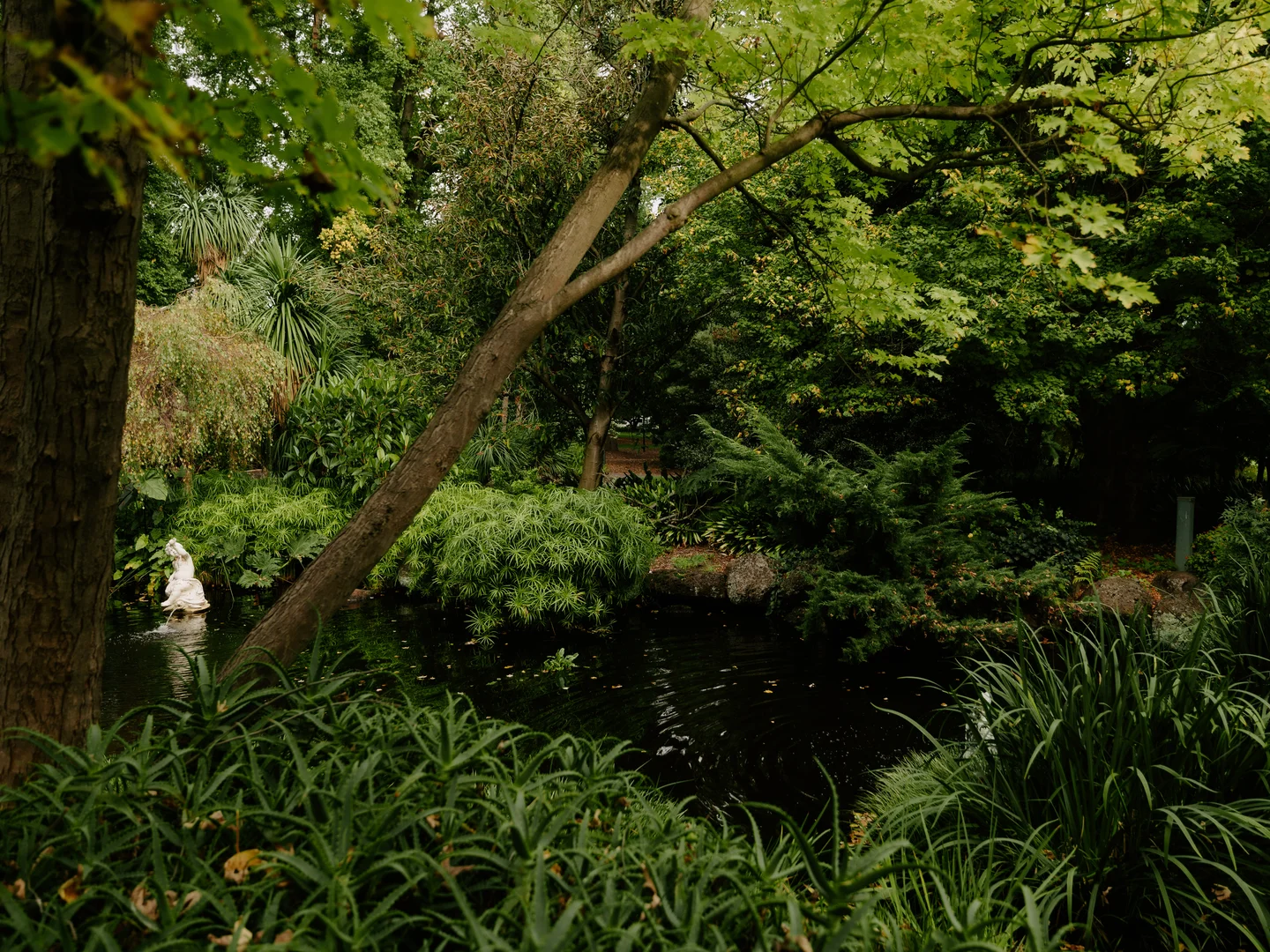 Image 17