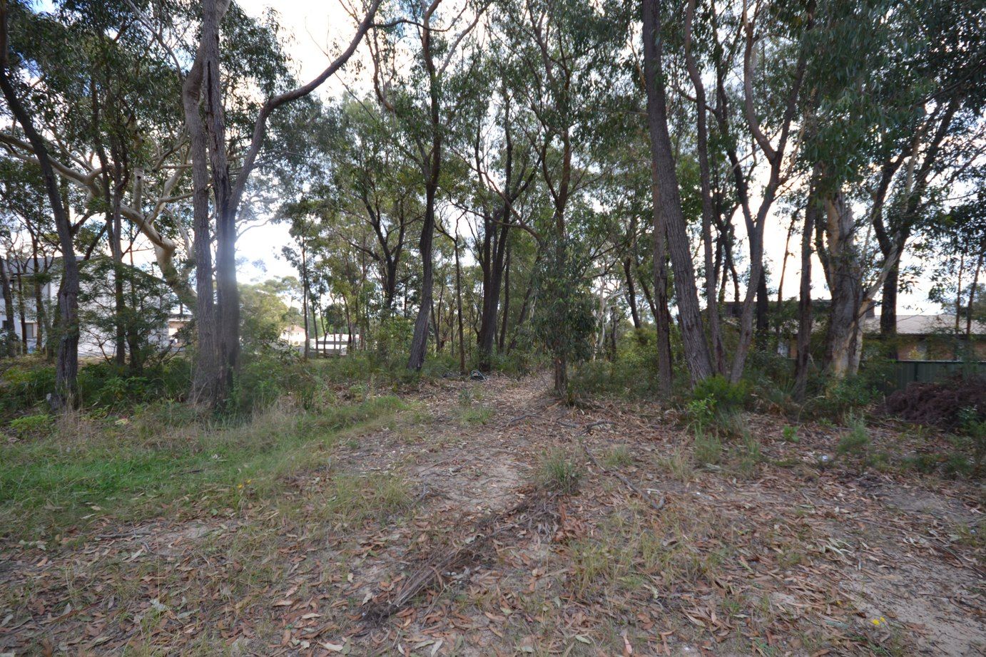 8 Grandview Parade, Hill Top NSW 2575, Image 0