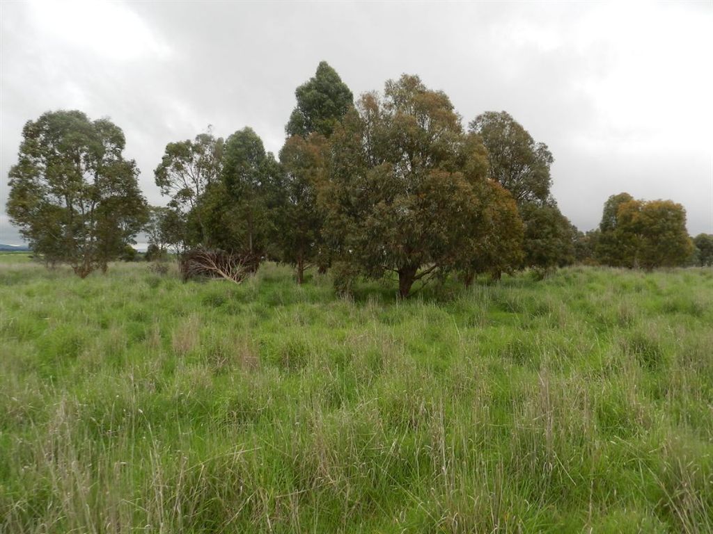 4641 Ballarat-Maryborough Road, Dunach VIC 3371, Image 1