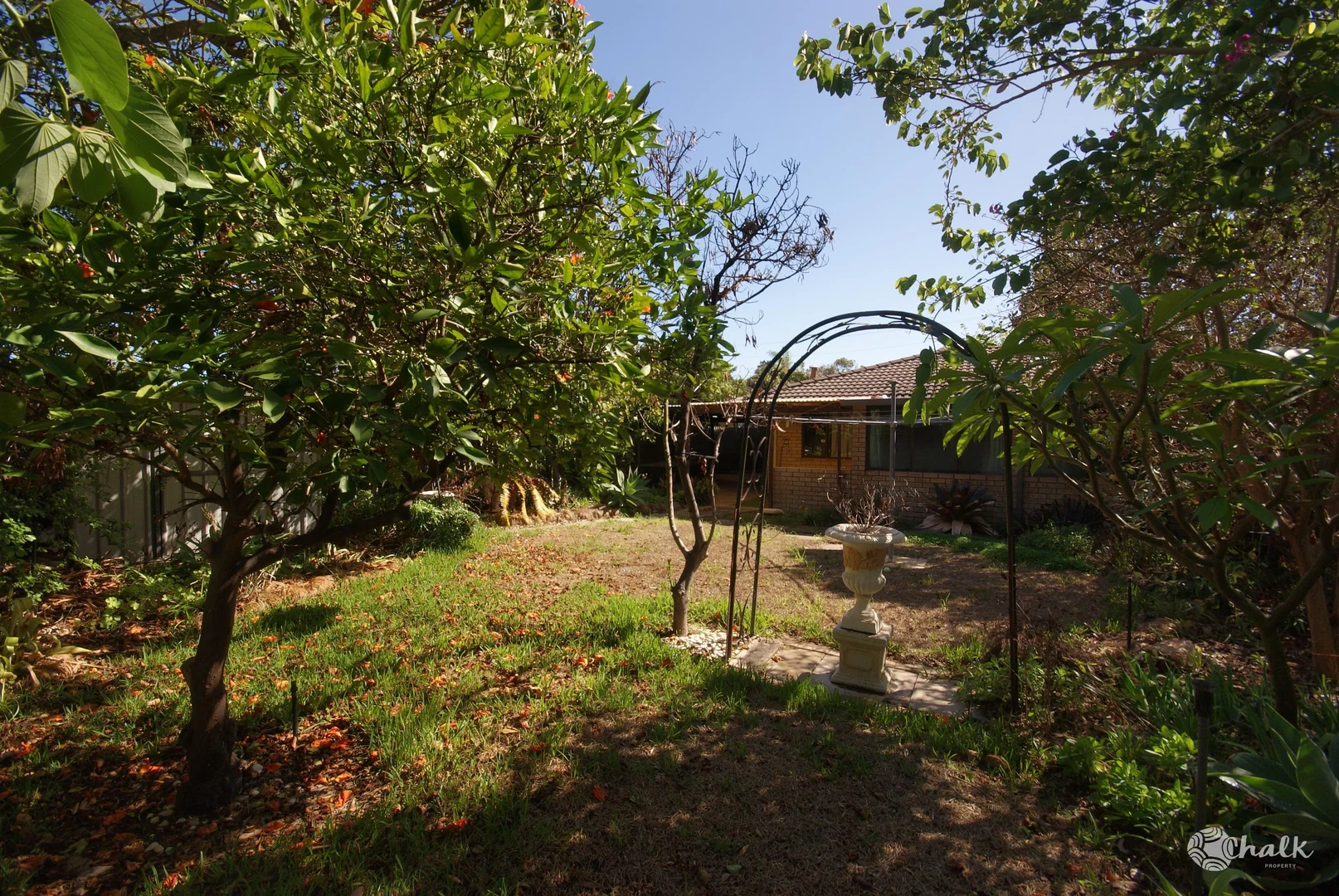Image 22