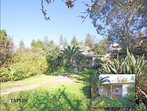 497 Military Road, Grange SA 5022, Image 1