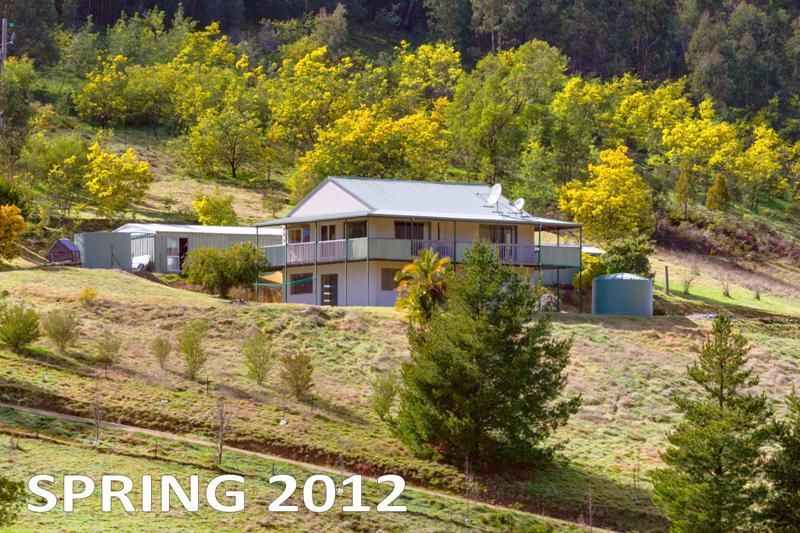 497 Wises Creek Road, Talgarno VIC 3691, Image 0