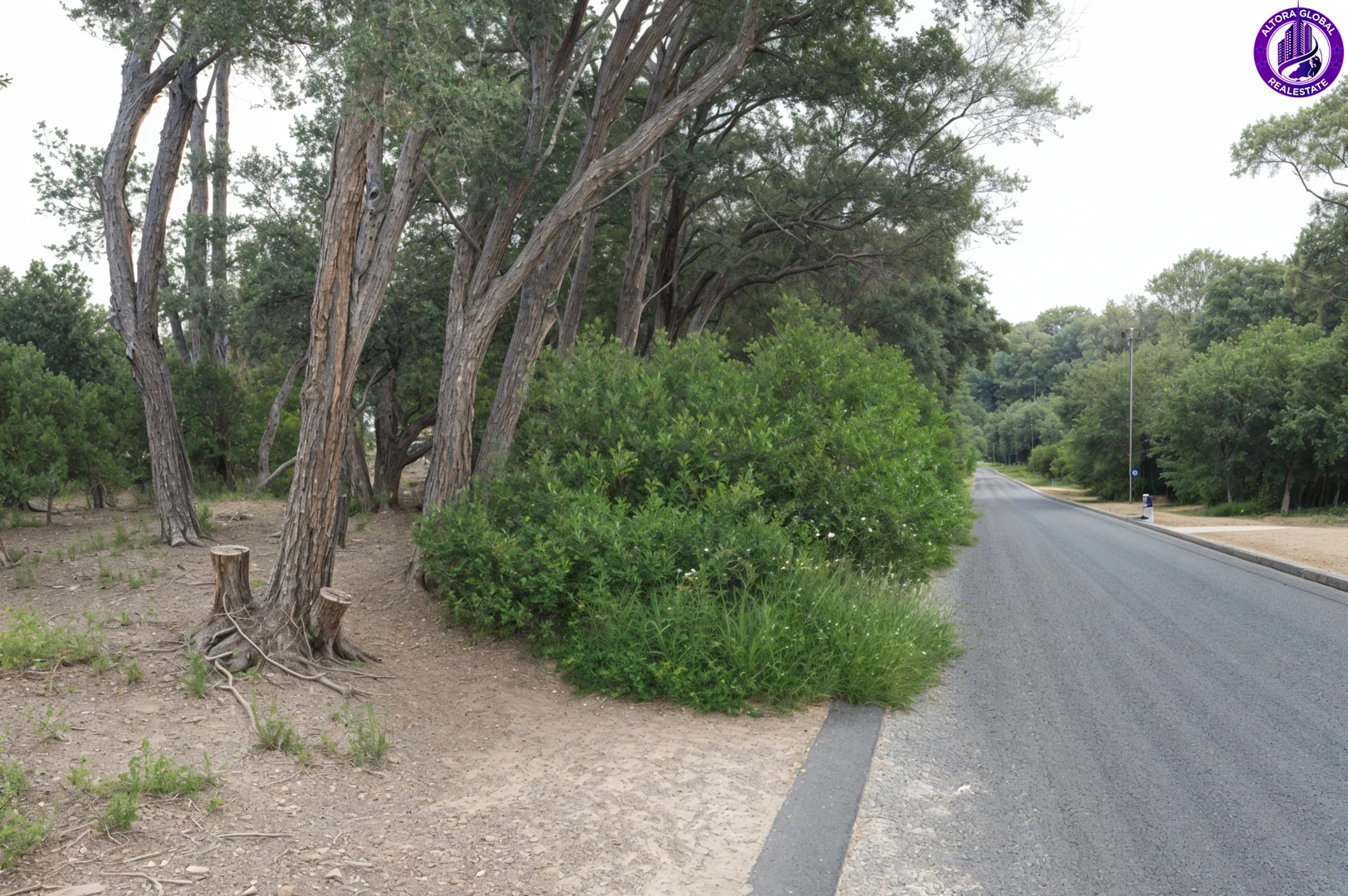 Image 12
