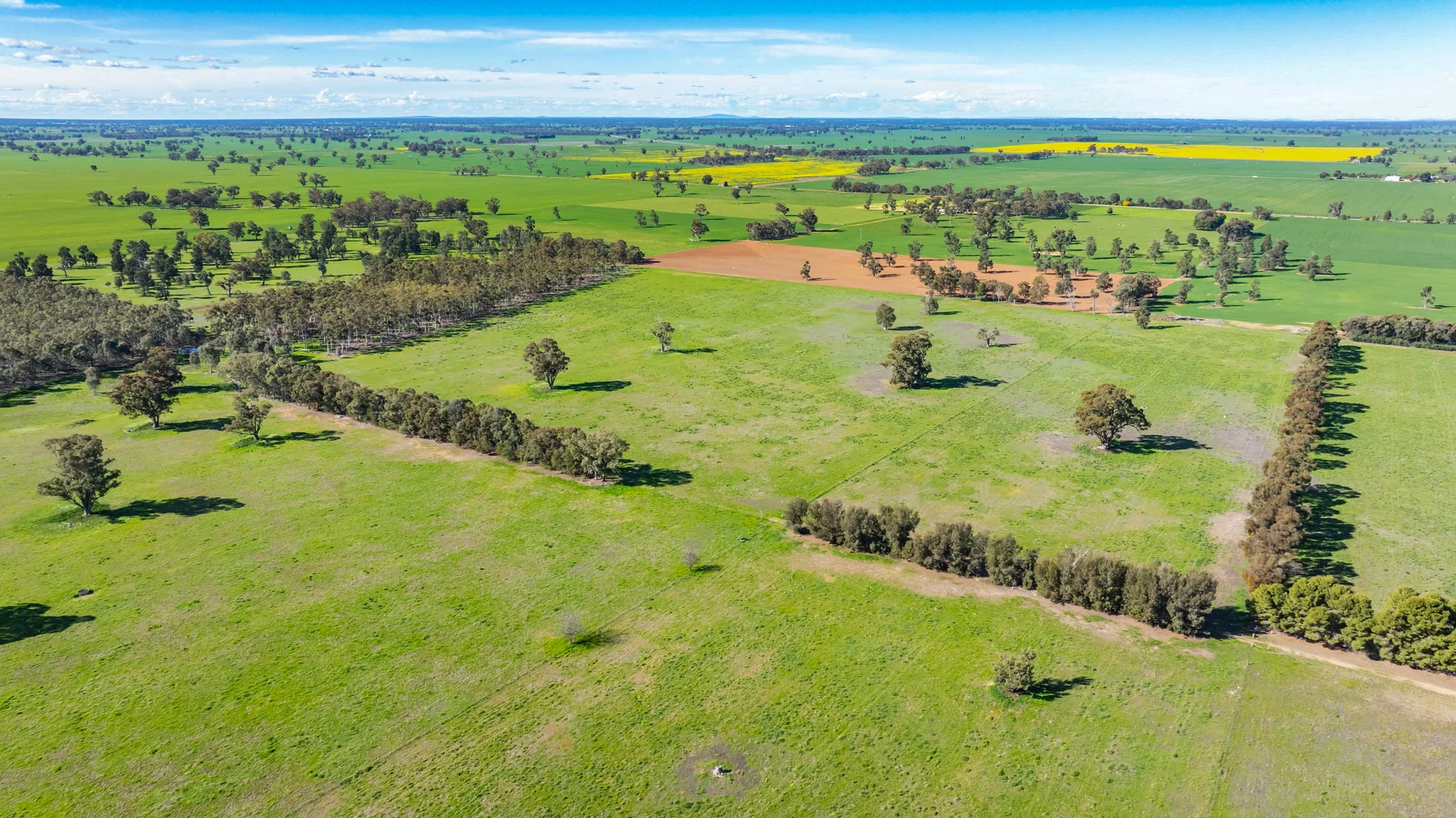 Additional image 8 of 290 Savernake Road, Mulwala NSW 2647