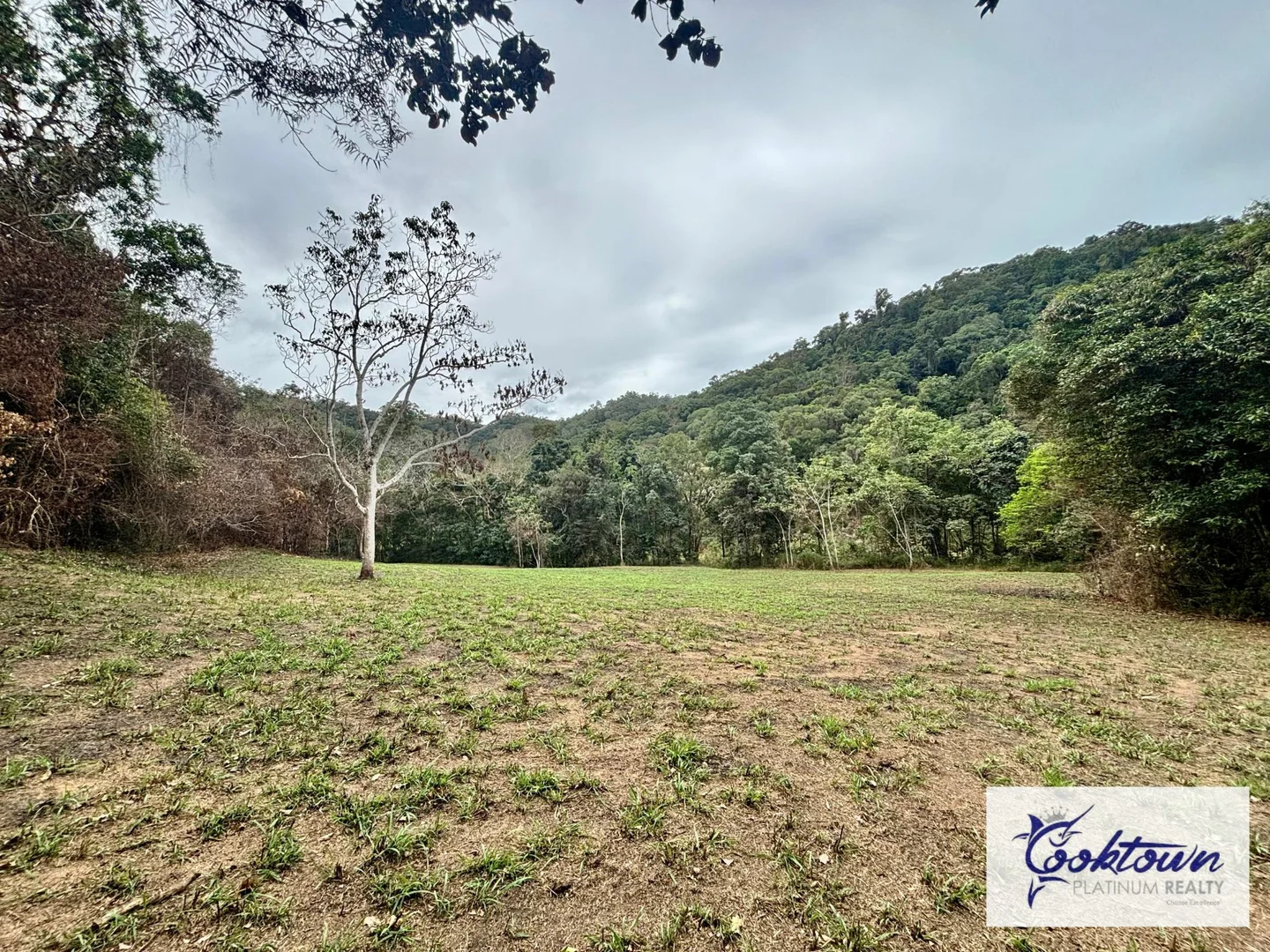 Additional image 30 of 2529 Cape Tribulation Bloomfield Rd, Bloomfield QLD 4895