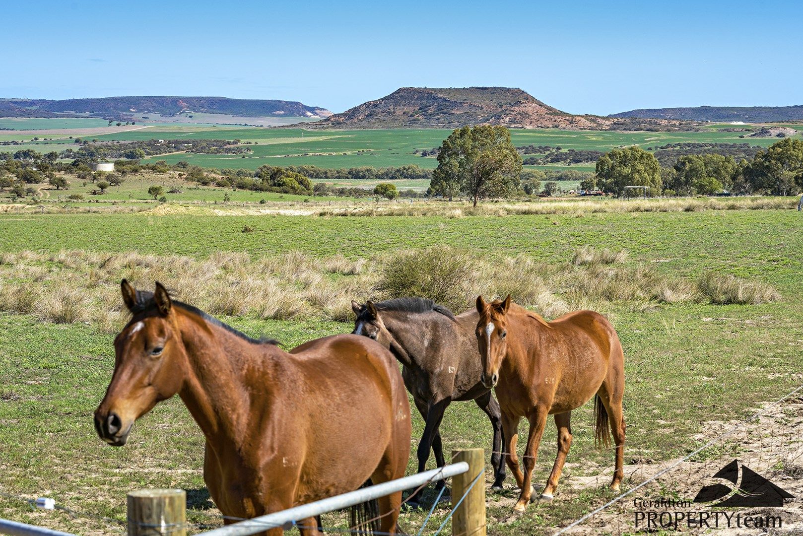 Lot 81 Beaufort Close, Narra Tarra WA 6532, Image 0